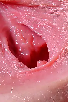 Cute little red pussytongue sticking up into the gape