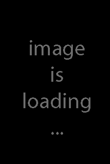 311520
